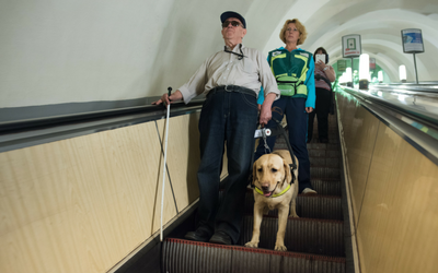 image for International Guide Dog Day- April 25th